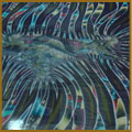 Kankariya Textile Industries - Digital Printing Kankariya Textile Industries - Digital Printing